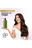 Dp Moringa Yağı Şampuan Tuzsuz 425 ml