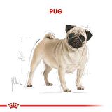 Royal Canin Pug Yetişkin Kuru Köpek Maması 1.5kg