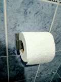 KENDİNDEN YAPIŞKANLI WC KAĞITLIK KROM