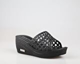 Pierre Cardin 241-229