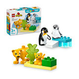Penguen ve Aslanlar 10442 1 Adet