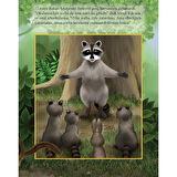 Minik Rakun Ve İri, Kötü Zorba