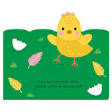 Uykusu Kaçan Minikler -Çiftlik Arkadaşları