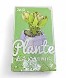 Saksılı Mini Lego Seti 0739