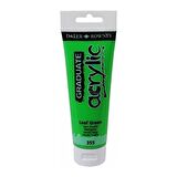 Daler Rowney Graduate Akrilik Boya 120ml Leaf Green (355)