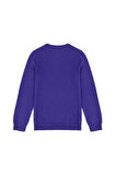 Kız Çocuk Mor Basic Kazak 50269399-VR038