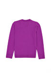 Kız Çocuk Violet Basic V Yaka Kazak 50275850-VR203