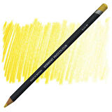 Derwent Procolour Kuru Boya Kalemi  05 Gold