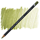 Derwent Procolour Kuru Boya Kalemi  52 Olıve Green