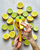 Joseph Joseph 20171 JuiceMax Dual-Action Limon Sıkacağı