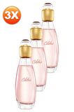 Avon Celebre Kadın Parfüm Edt 50 Ml. Üçlü Set