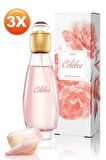 Avon Celebre Kadın Parfüm Edt 50 Ml. Üçlü Set