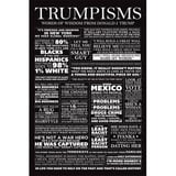 Maxi Poster Trumpisms