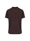 Superdry Düz Kahve Erkek Polo T-Shirt M1110345A9XF_VINT DESTROY POLO