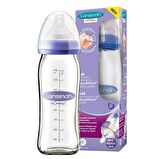 Lansinoh Cam Biberon 240 ml