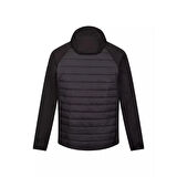 Regatta Andreson VIII Hybrid Erkek Ceket