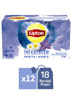 Lipton İyi Geceler Papatya ve Lavanta Bitki ve Meyve Çayı Karışımı 18li x 12 Adet