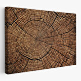 Ağaç Kütük Desenli Kanvas Tablo-5076