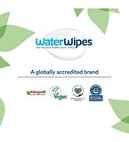 Waterwipes Yenidoğan Hipoalerjenik-Parfümsüz 12 x 60 Yaprak 12 Paket Islak Mendil