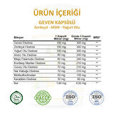 Geven Kapsül (ASTRAGALUS CAPSULE)