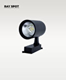 30W Siyah Ray Spot 4000K (Gün Işığı)