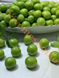 NİVEMESHOME HATAY YÖRESİNE AİT YEŞİL ERİK 1 KG