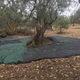 5X2 METRE ZEYTİN SERGİSİ ZEYTİN TOPLAMA FİLESİ FINDIK FISTIK ÖRTÜSÜ GÖLGELİK DUT MEYVE SERGİSİ TABAN ÖRTÜSÜ