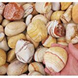 Sarı Çizgili Dolomit 7 Kg 6-10 Cm Sarı Dolomit Taş