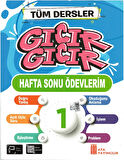 1.Sınıf Problemlerle Matematik+Okuma Anlama+Hafta Sonu Ödevlerim