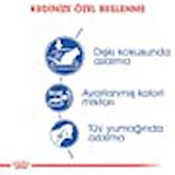 Royal Canin Indoor27 Yetişkin Kuru Kedi Maması 2kg