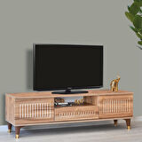 Mindy Tv Sehpası Atlantik Çam 2 Kapaklı 1 Çekmeceli Gold Halkalı Kulplu 160x36x50 Cm
