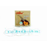 Mandolin Teli AM03