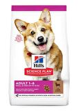 Hills Small Mini Lamb Kuzu Etli  Küçük Irk Yetişkin Köpek Maması 6 Kg