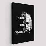 Dünden Öğrenin Bugünü Yaşayın Yarını Umut Edin Kanvas Tablo, Albert Einstein-5275