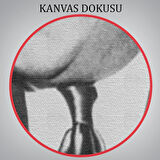 Ünlü Sabıka Fotoğrafı Posteri, Ünlü Mafya Patronu, Al Capone Kanvas Tablo-5292