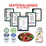 Alıç Kapsül (HAWTHORN CAPSULE)