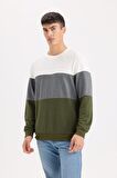 DeFacto Regular Fit Bisiklet Yaka Renk Bloklu Jakarlı Sweatshirt D5393AX24AUGN351