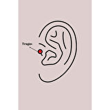 316L Çelik Gümüş Renk Mavi Zirkon Taşlı Tragus Piercing