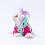 Mınt Rio Kedi Köpek Hoodie