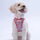 DESENLİ AIRMESH KEDİ KÖPEK GÖĞÜS TASMASI