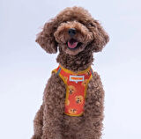 DESENLİ AIRMESH KEDİ KÖPEK GÖĞÜS TASMASI