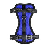 Mılou Göğ.Tasma Mavi S 30-45Cm 15Mm