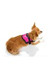 Flamingo Milou Köpek Göğüs Tasması M (40-55 cm) Fu