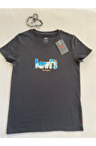 Lse The Perfect Tee Ssnl Poster Logo Dr