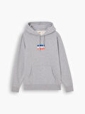 GRAPHIC HOOD MINI SPORTSWEAR ERKEK GRİ SWEATSHIRT A2410-0006