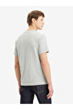 Graphic  Erkek Gri T-Shirt A2823-0262
