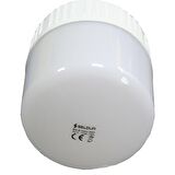Seldur 30W Büyük Boy Torch 6500K LED Ampul Beyaz E27 Duy
