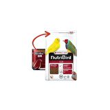 Versele Laga Nutribird C19 10 Kg Kanarya Yemi 