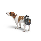 Savic Comfort Nappy 3 Köpek Bezi: 36-54 cm, Süper Emici Tek Kullanımlık 12 Adet