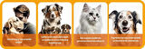 Zoetis VMP Kedi ve Köpek Vitamin Mineral Protein Komplaxı 50 Tablet